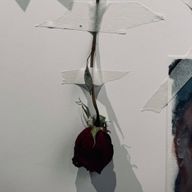 あいむすりーぴーさんのアイコン画像