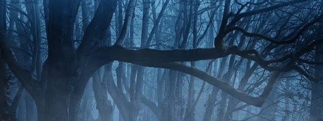 朝為さんの壁紙画像