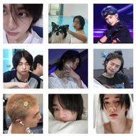 すていさんのアイコン画像