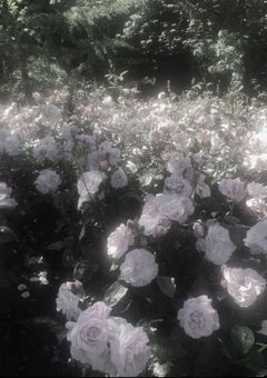 強気な生徒会長サマ♡𖥔
