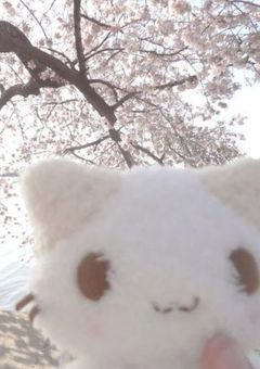 しょーもない奴の雑談。(誰でも気軽に来てね)