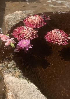 愚痴部屋