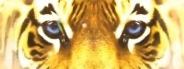 隅田川三栖@セナ実装まだですかさんの壁紙画像