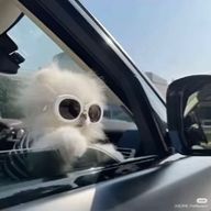 ⭐︎さんのアイコン画像