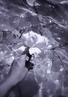 　学校の七不思議【 参加型 】