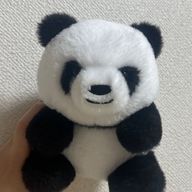 せがたんさんのアイコン画像