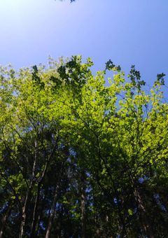 あの夏が飽和する