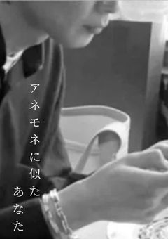 アネモネに似たあなた
