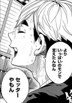 元烏野マネ。稲荷崎にて溺愛されてます。『R版』