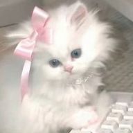 ゆゆ 優癒ちゃん#低浮上さんのアイコン画像