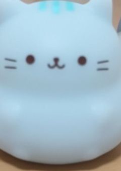 夢みたいな学園生活?!