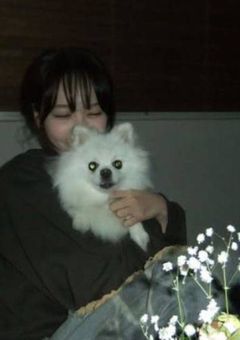 新入生は問題児