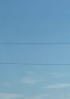 コラージュ？部屋