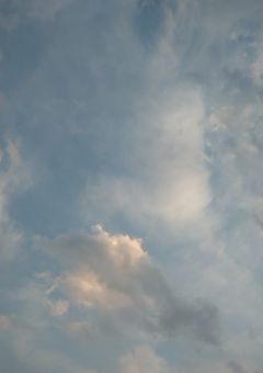 男の子にもなる最強なあの子は､､､