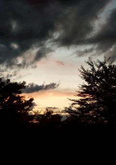 解放戦力170%の怪物、第3部隊の副隊長に溺愛される。