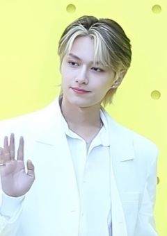 アイドルと結婚します