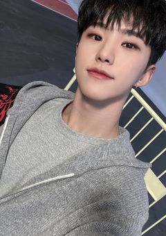 アイドルと結婚します