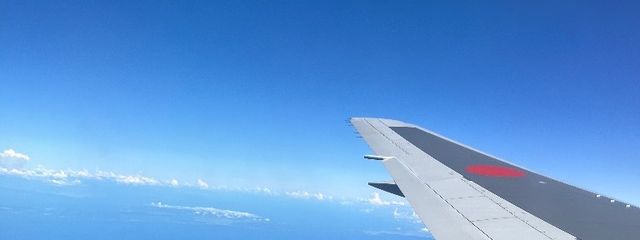 ぱぁさんの壁紙画像