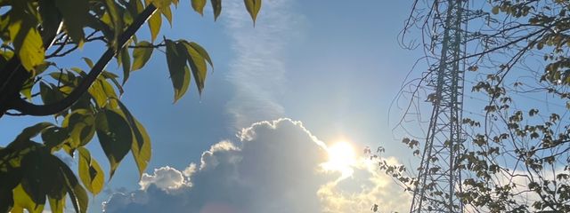 はるみソーダさんの壁紙画像