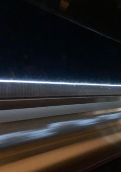 俺.....好かれてね?