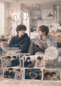 『嫌いなはずの同居人』