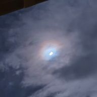 めぐるくんさんのアイコン画像