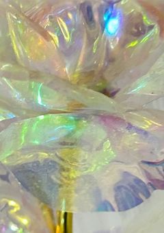 休止中：泣きな泣きなよしよしよし、の部屋