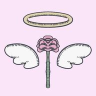 かす天さんのアイコン画像