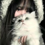 天城さんのアイコン画像
