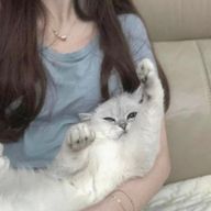 寧々さんのアイコン画像