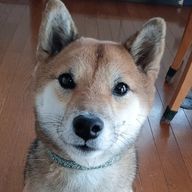 ユ@デジタル楽しい。さんのアイコン画像