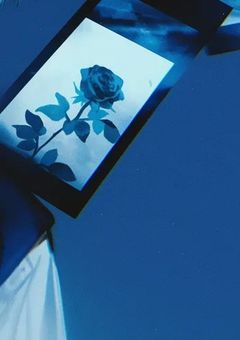 中也の姉、猟犬定期施術最高担当員な件。