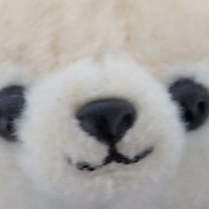 しらたまさんのアイコン画像