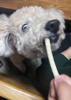動画投稿部屋〜