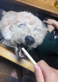 お友達募集ー！
