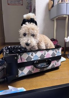 みんなともっと仲良くなりたい！！