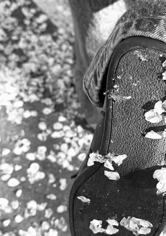 世界一綺麗な君へ