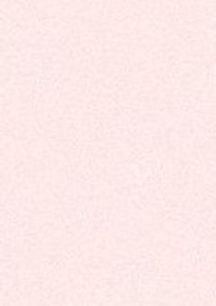 𝔐ℭ𝔗 - 𝔄 - 死ぬまで貴方と一緒！