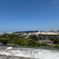 ゆきみだいふくさんのアイコン画像