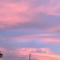 ʕ ◦`꒳´◦ʔさんのアイコン画像