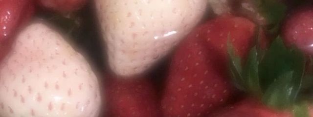 ゆづづさんの壁紙画像