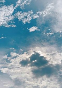 悪役になりきれなかった柱【鬼滅の刃】