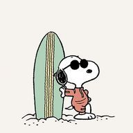 はるさんのアイコン画像