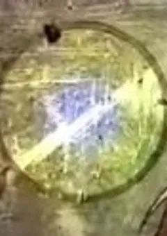 絆           【俺たちのデスゲーム】