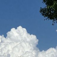 清水すみれさんのアイコン画像