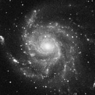 ちゃんこ鍋。さんのアイコン画像