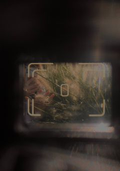 あの人たちの反応は...？