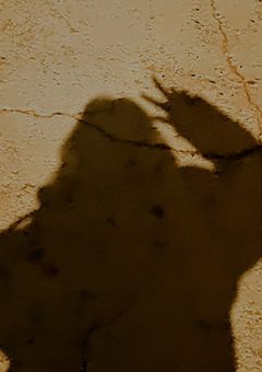 関 係 者 募 集 ‼️ ✨