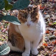 よづきさんのアイコン画像