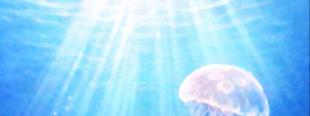 ✎ܚ ❤︎₍ᐢ·͈༝·͈ᐢ₎フォロバ100%さんの壁紙画像